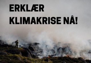Erklær klimakrise NÅ! - Telemark