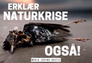 ERKLÆR NATURKRISE OGSÅ! Oslo