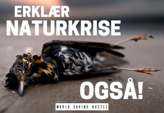 ERKLÆR NATURKRISE OGSÅ! -Troms
