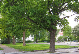 GJØR OM STENER HEYERDAHLSPARKEN TIL HUNDEPARK!