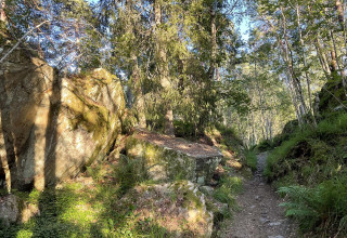 Bevar nærskogen på Haugerud/Trosterud