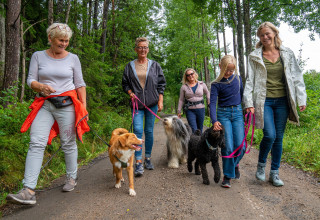 Hundepark i Engelsviken