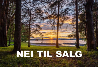 Nei til salg av Tallodden og det offentlige naturområdet langs Mjøsa