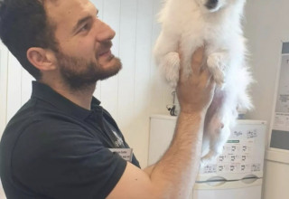 Vi vil ha dyrlege til bygda, snarest!