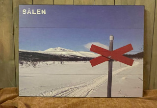 Gi vinterled A/S lov å orientere kommunestyret