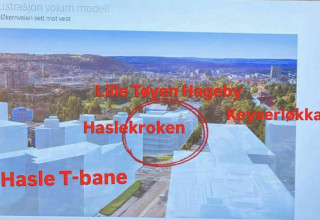 Stopp omreguleringen fra småhus til høyblokker på Hasle!